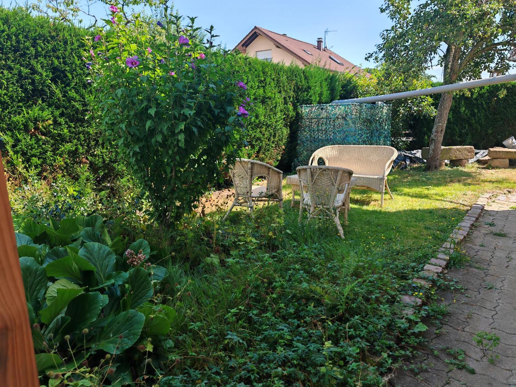 Appartement " Le Chardonneret " Issenheim Kültér fotó